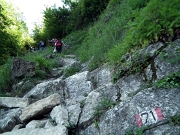 Sul ‘Sentiero del Viandante’ da Lierna a Varenna (variante alta) il 17 maggio 2012 - FOTOGALLERY